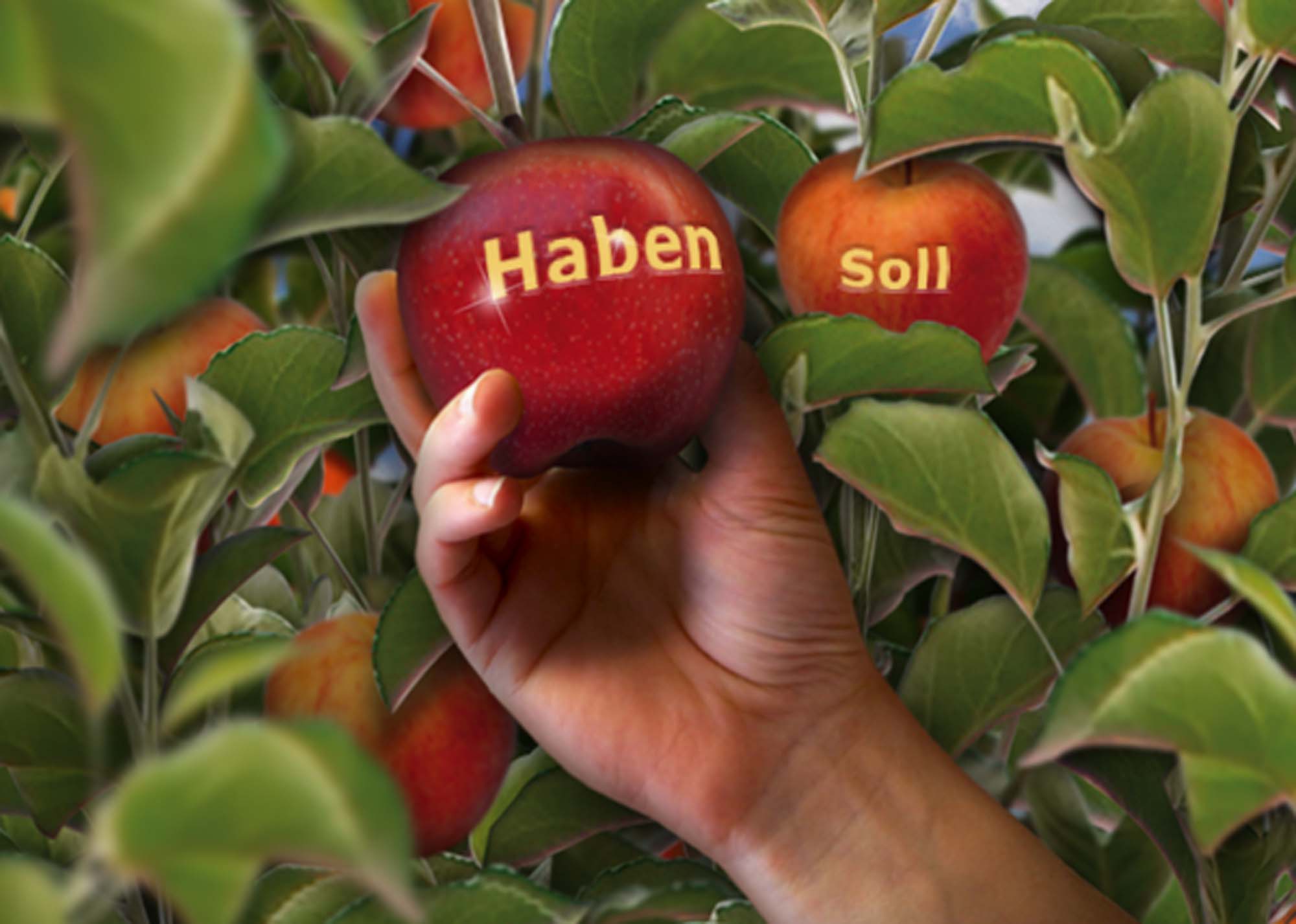 Äpfel mit Haben-Soll Schrift